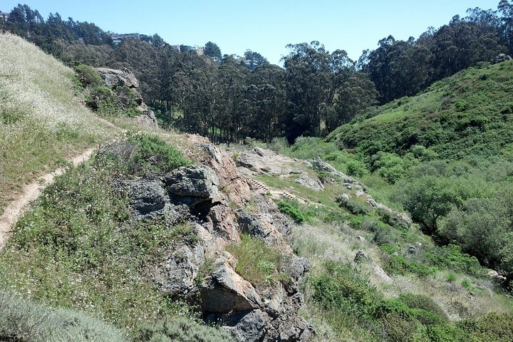 Glen Canyon, San Francisco - https://commons.wikimedia.org/wiki/File:Glen_canyon_san_francisco_april_2013.jpeg